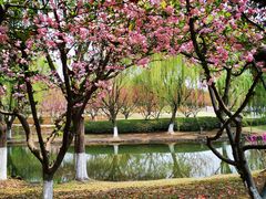 -白塘生态植物园