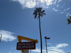 -In-N-Out Burger(LAX)