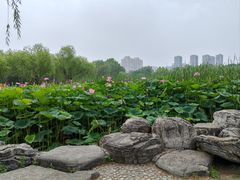 -太阳宫公园