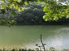 -龙道沟景区