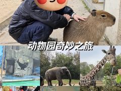 -合肥野生动物园