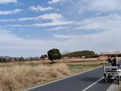 -良渚古城遗址公园