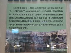 -安徽省地质博物馆