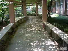 -上海海事大学东校区-上海港湾学校