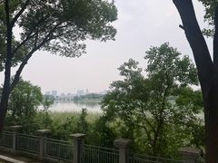 -金银湖国家城市湿地公园