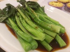 -香港美食大酒楼