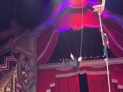 -珠海横琴长隆《卡卡虎奇遇记》