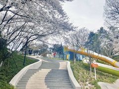 -杭州少年儿童公园