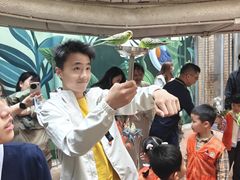 -正佳雨林生态植物园
