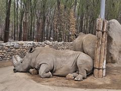 -北京野生动物园