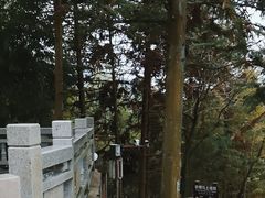 -福建土楼(南靖)景区