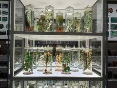 -北京中医药大学-中医药博物馆
