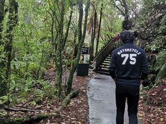 -怀托摩萤火虫洞