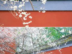 -钱王祠