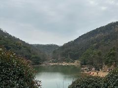 -桃花岭景区