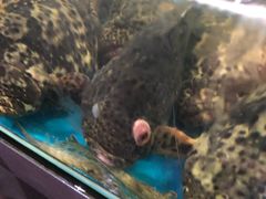 -清水湾3号(东方小周海鲜店)