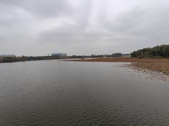 -大兴滨河森林公园