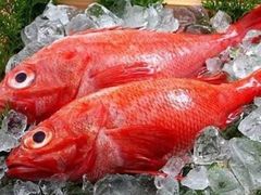 盐烤金吉鱼-彩葉·樱花屋日本料理(动物园店)