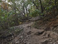 -香山公园