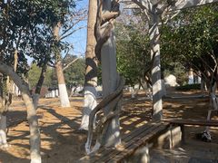 -镇江市南山风景名胜区竹林景区