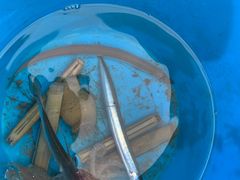 -北戴河东海水浴场