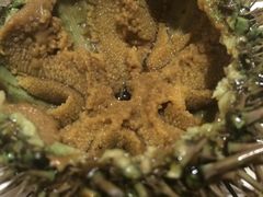 iphone_upload_pic-银帆宾馆-自助餐厅(金马路店)