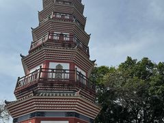 -中山公园(石岐街道)