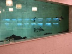 -古韵轩·江浙融合菜(梁溪店)