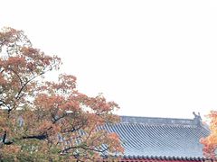 -香山公园