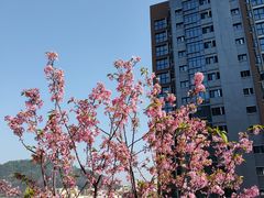 -小南山公园