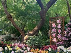 -汇龙潭