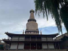 -张掖大佛寺景区