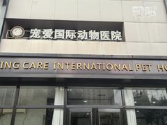 -宠爱国际动物医院· 猫科· 外科·中兽医(长白店)