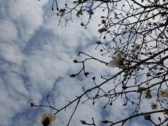 -中国移动南方基地