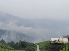 -鹿院坪生态旅游景区