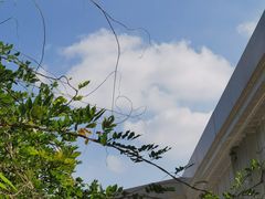 -中山公园