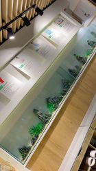 点击看大图 -MLYG美来瑜伽·普拉提