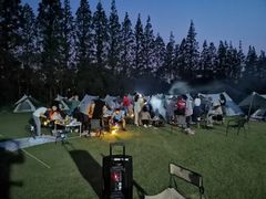 -前小桔亲子创意农场·草莓采摘·露营烧烤
