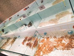 水产区-小城故事·地道宁波味(月湖盛园店)