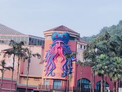 -重庆海昌加勒比海水世界