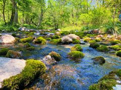 -玉渡山自然风景区
