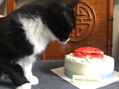 -派悦坊·甜品·蛋糕(日坛店)