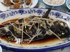 油泼黑头鱼-天伦海鲜·老味道·青岛菜(栈桥天主教堂店)