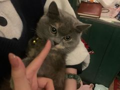 -豌豆小院咖啡馆