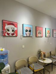 -洗脸猫·洗脸吧