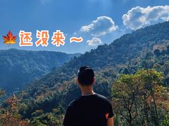 -广州市石门国家森林公园