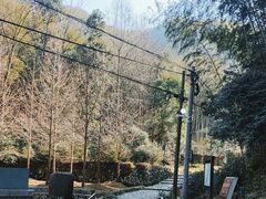 -仙霞关景区
