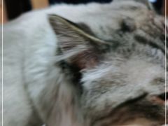 -白兔子密室(长寿路店)