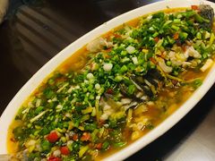 跳水鱼-飞虹鱼馆(春华路店)
