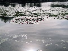 -长春市南湖公园